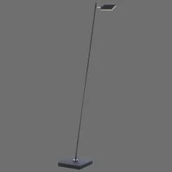 Lampadaire Paul Neuhaus PURE-MIRA LED Noir, 1 lumière, Télécommandes