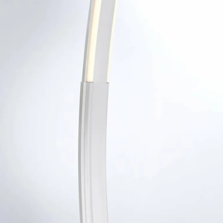 Lampadaire Paul Neuhaus Q-VITO LED Acier inoxydable, 1 lumière, Télécommandes