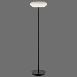 Lampadaire Paul Neuhaus Q-ETIENNE LED Noir, 1 lumière, Télécommandes
