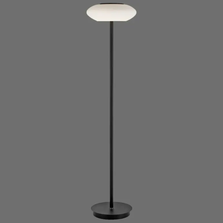 Lampadaire Paul Neuhaus Q-ETIENNE LED Noir, 1 lumière, Télécommandes