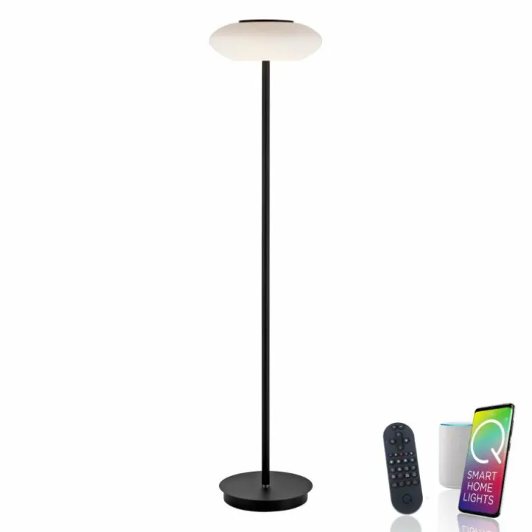Lampadaire Paul Neuhaus Q-ETIENNE LED Noir, 1 lumière, Télécommandes