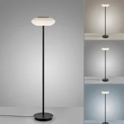 Lampadaire Paul Neuhaus Q-ETIENNE LED Noir, 1 lumière, Télécommandes