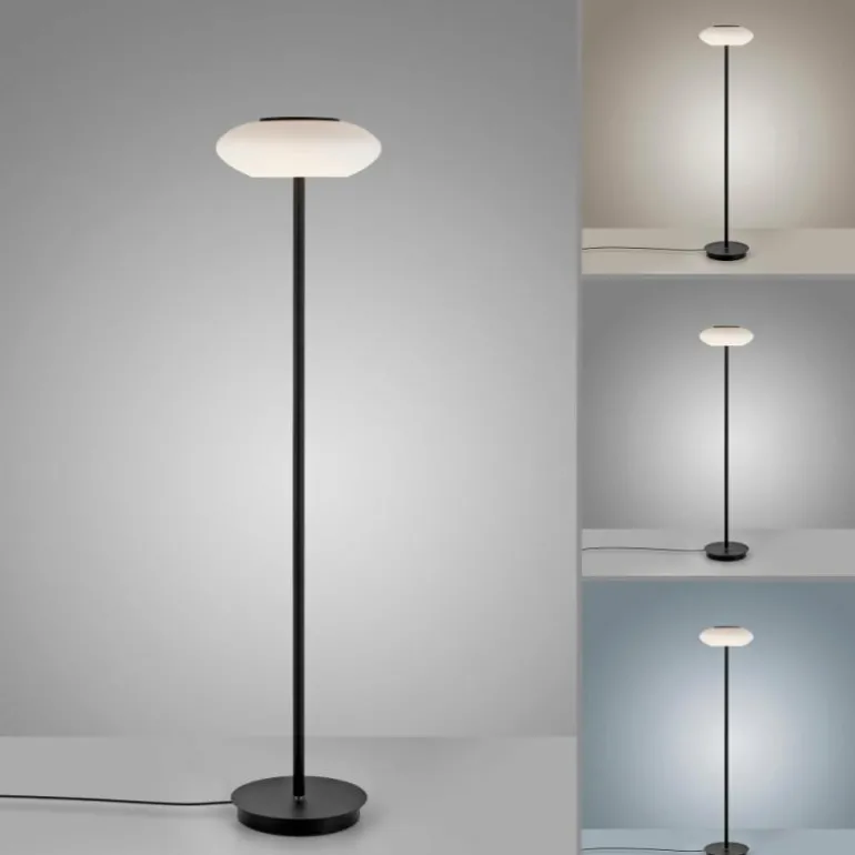Lampadaire Paul Neuhaus Q-ETIENNE LED Noir, 1 lumière, Télécommandes