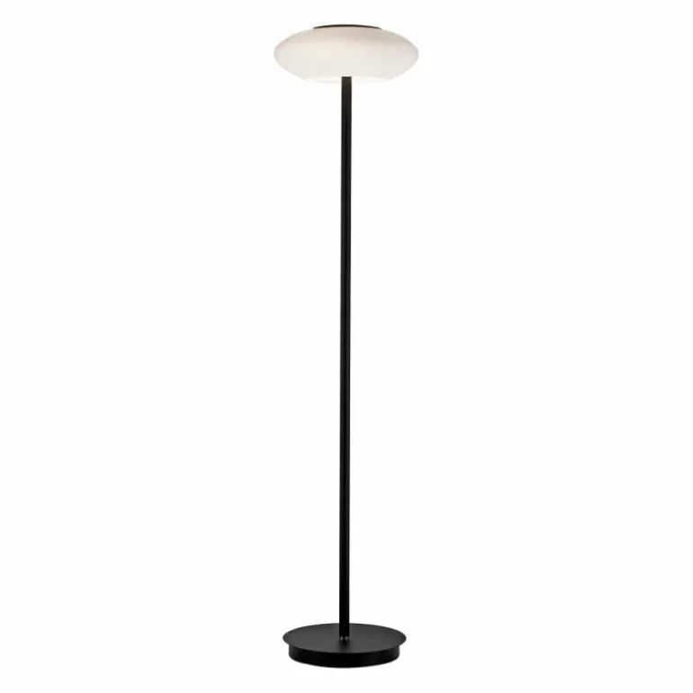 Lampadaire Paul Neuhaus Q-ETIENNE LED Noir, 1 lumière, Télécommandes