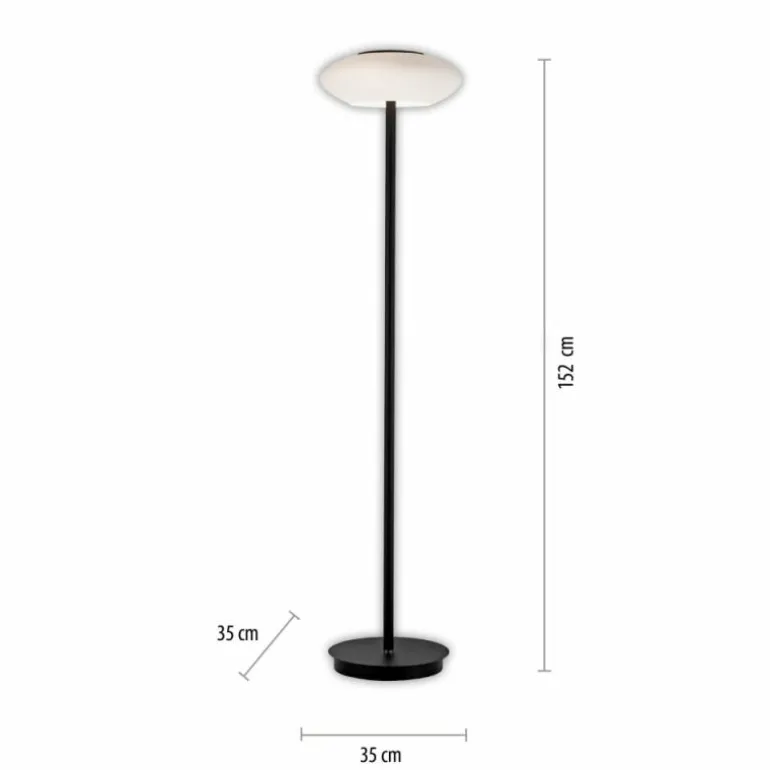 Lampadaire Paul Neuhaus Q-ETIENNE LED Noir, 1 lumière, Télécommandes