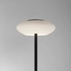 Lampadaire Paul Neuhaus Q-ETIENNE LED Noir, 1 lumière, Télécommandes