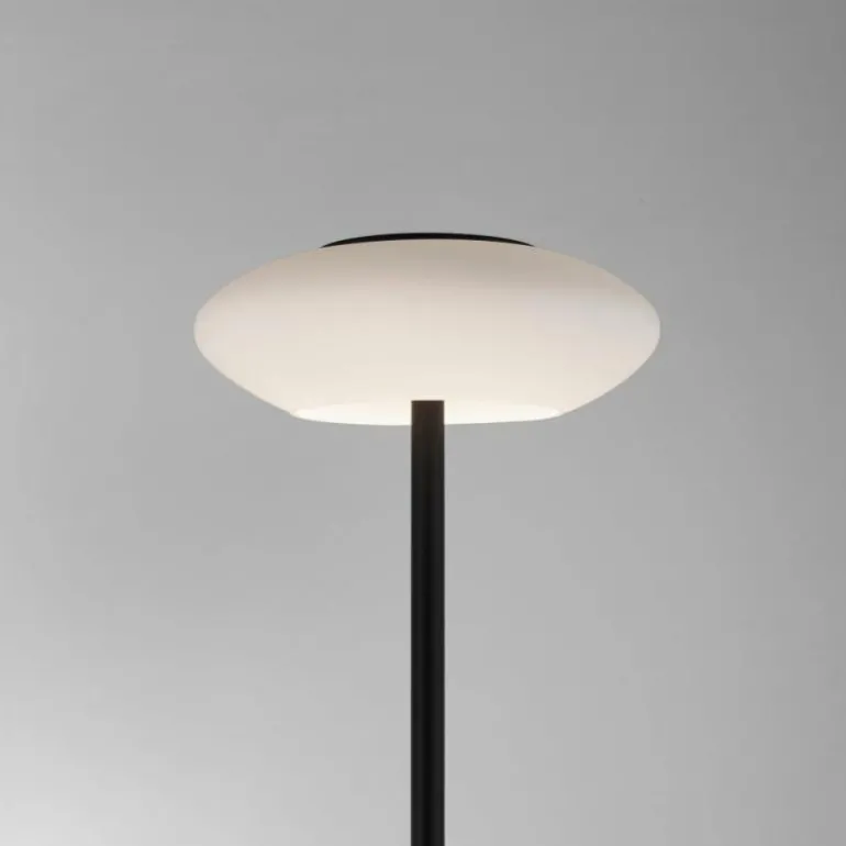 Lampadaire Paul Neuhaus Q-ETIENNE LED Noir, 1 lumière, Télécommandes