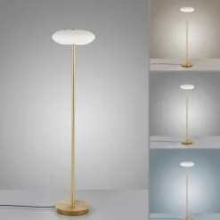 Lampadaire Paul Neuhaus Q-ETIENNE LED Laiton, 1 lumière, Télécommandes