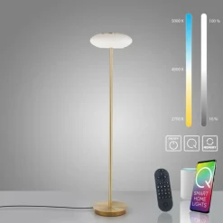 Lampadaire Paul Neuhaus Q-ETIENNE LED Laiton, 1 lumière, Télécommandes