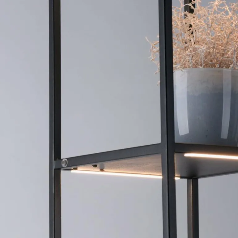 Lampadaire Paul-Neuhaus CONTURA LED Noir, 4 lumières