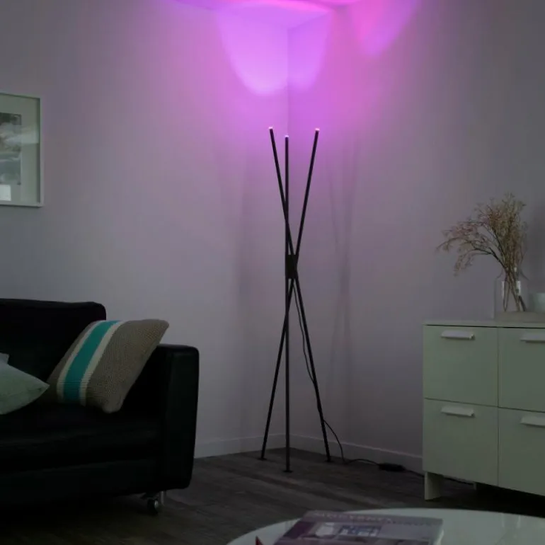 Lampadaire Paul-Neuhaus Q-PETER LED Anthracite, 3 lumières, Télécommandes