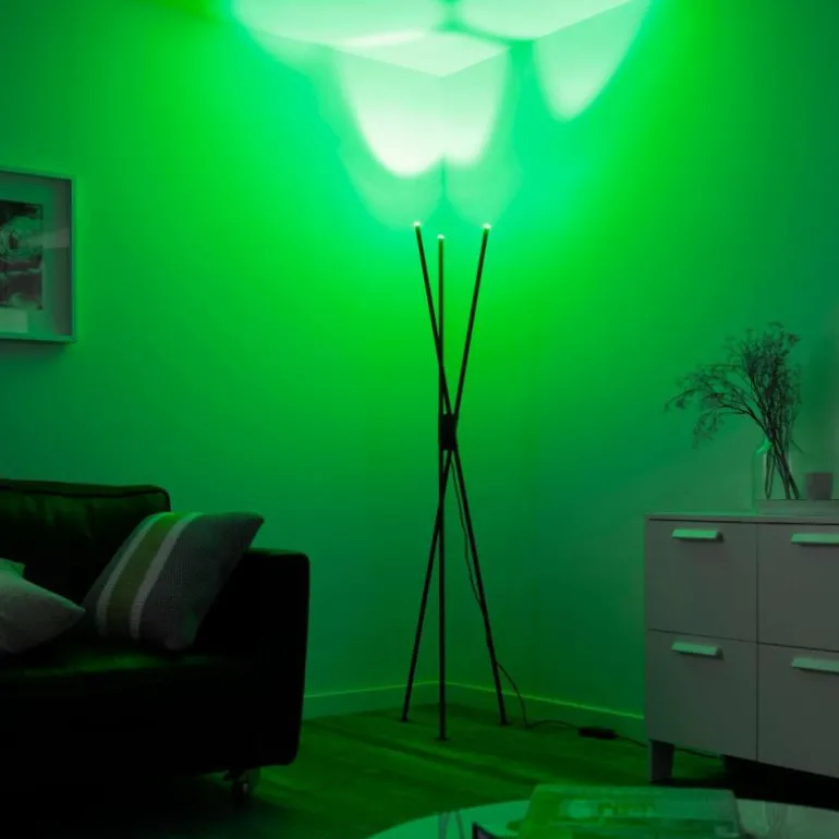 Lampadaire Paul-Neuhaus Q-PETER LED Anthracite, 3 lumières, Télécommandes