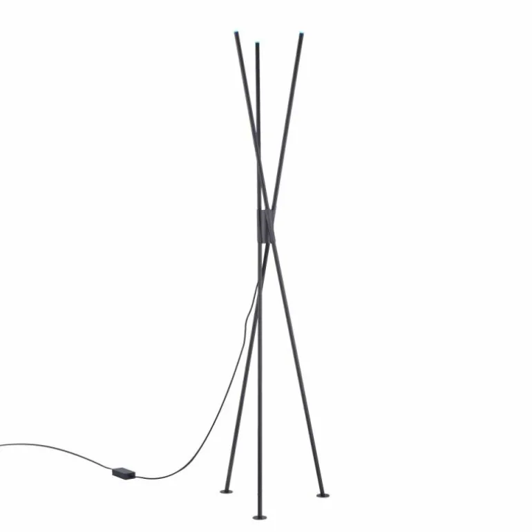 Lampadaire Paul-Neuhaus Q-PETER LED Anthracite, 3 lumières, Télécommandes