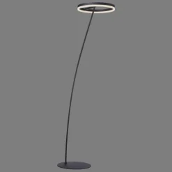 Lampadaire Paul-Neuhaus TITUS Anthracite, 1 lumière