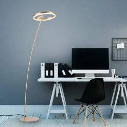 Lampadaire Paul-Neuhaus TITUS LED Laiton, 1 lumière