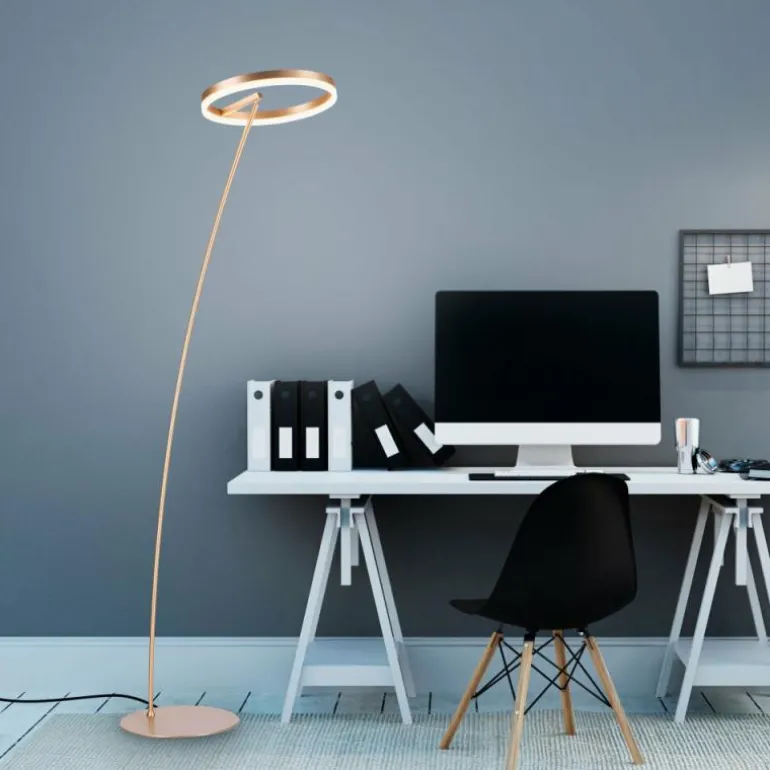 Lampadaire Paul-Neuhaus TITUS LED Laiton, 1 lumière