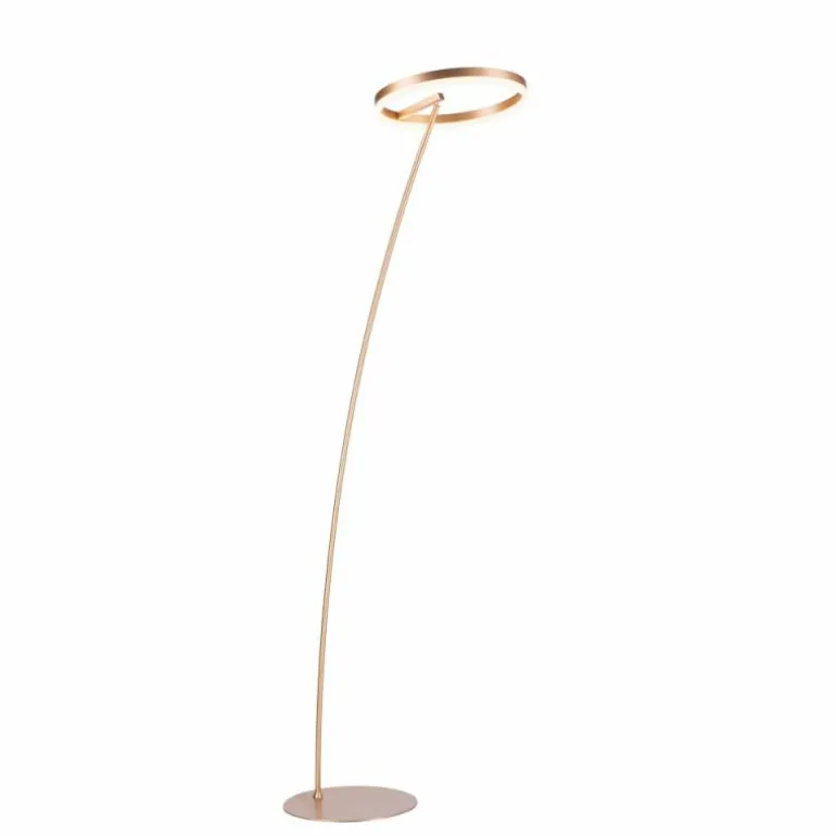 Lampadaire Paul-Neuhaus TITUS LED Laiton, 1 lumière