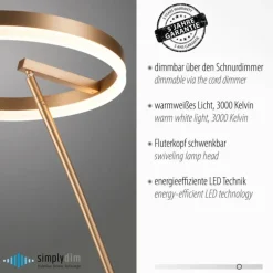 Lampadaire Paul-Neuhaus TITUS LED Laiton, 1 lumière