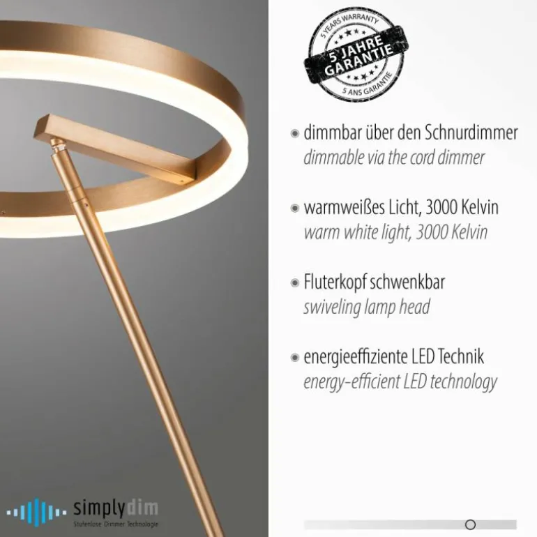 Lampadaire Paul-Neuhaus TITUS LED Laiton, 1 lumière