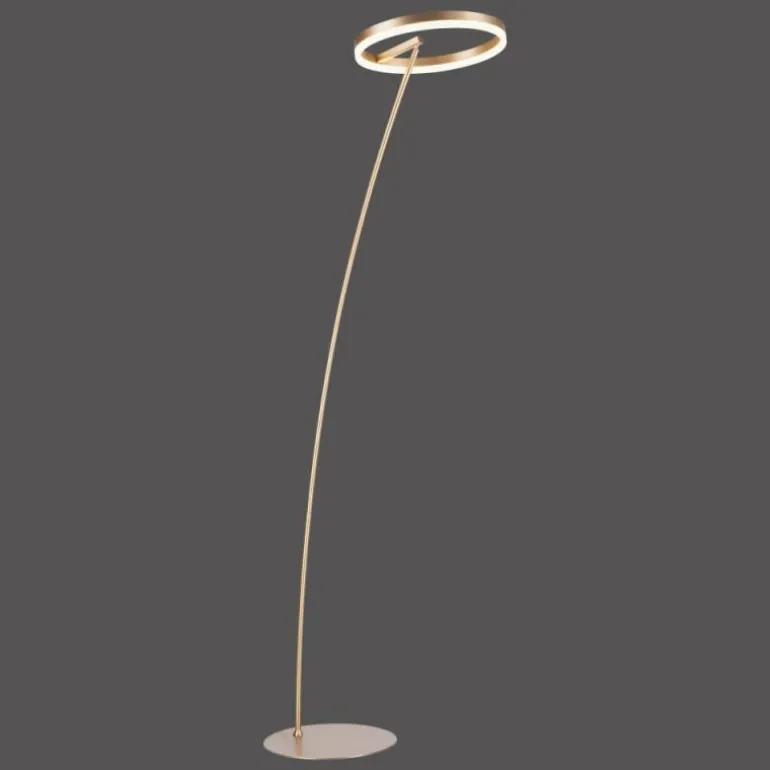 Lampadaire Paul-Neuhaus TITUS LED Laiton, 1 lumière
