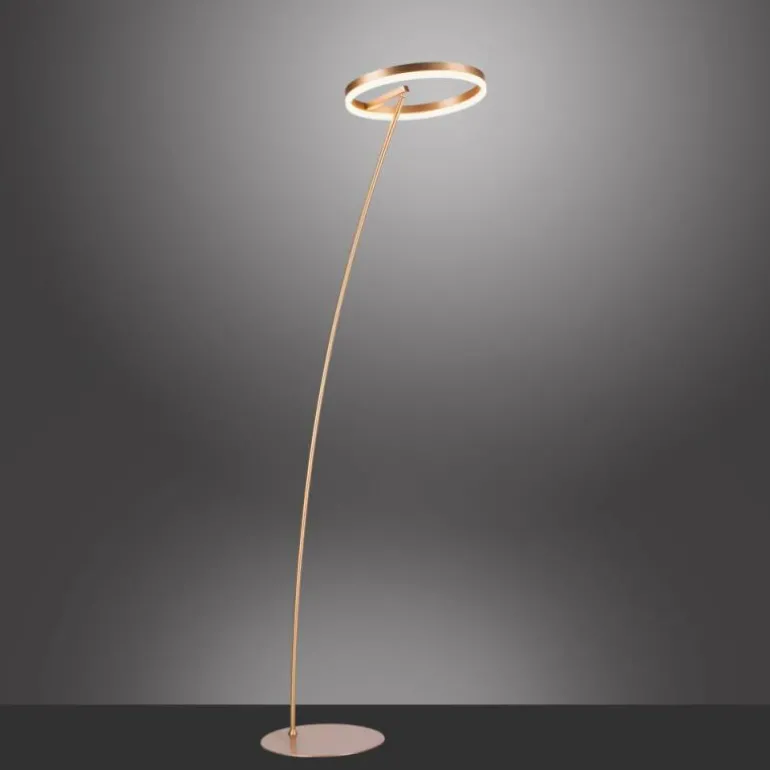 Lampadaire Paul-Neuhaus TITUS LED Laiton, 1 lumière