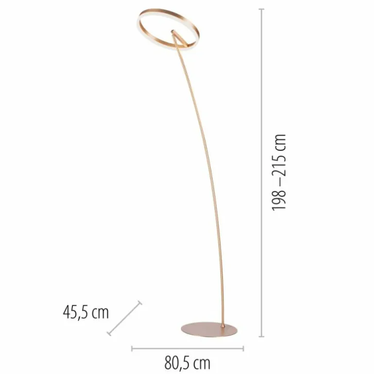 Lampadaire Paul-Neuhaus TITUS LED Laiton, 1 lumière