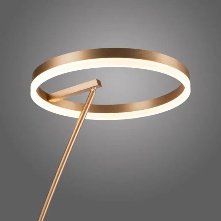 Lampadaire Paul-Neuhaus TITUS LED Laiton, 1 lumière