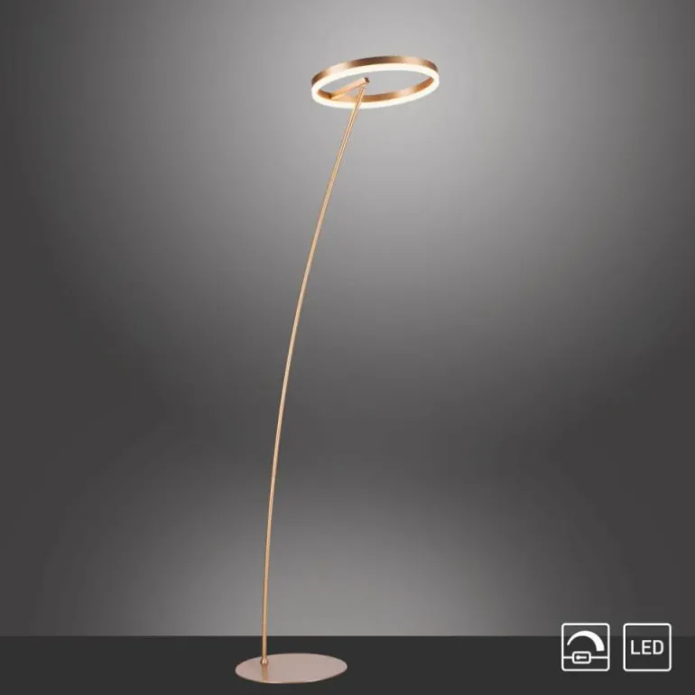 Lampadaire Paul-Neuhaus TITUS LED Laiton, 1 lumière