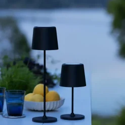 Lampe à poser Brilliant Kaami LED Noir, 1 lumière