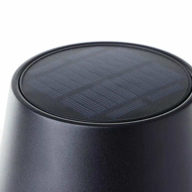 Lampe à poser Brilliant Picco LED Noir, 1 lumière