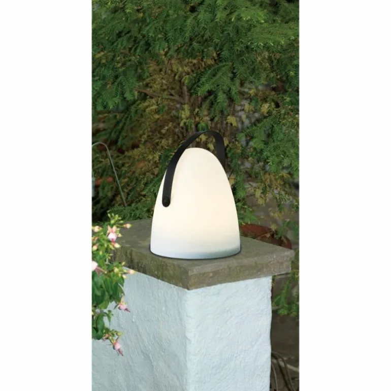 Lampe à poser Eglo COLLIRADOS LED Noir, 2 lumières