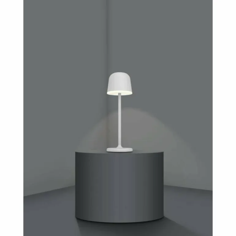 Lampe à poser Eglo MANNERA LED Gris, 1 lumière