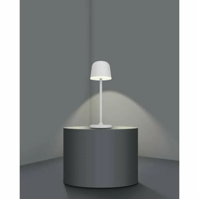 Lampe à poser Eglo MANNERA LED Gris, 1 lumière