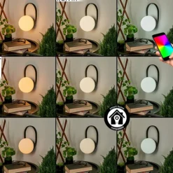 Lampe à poser Fair LED Noir, 1 lumière, Changeur de couleurs