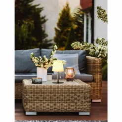 Lampe à poser FHL-easy Garden LED Anthracite, 1 lumière, Changeur de couleurs