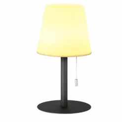 Lampe à poser FHL-easy Garden LED Anthracite, 1 lumière, Changeur de couleurs