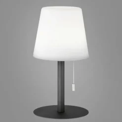 Lampe à poser FHL-easy Garden LED Anthracite, 1 lumière, Changeur de couleurs