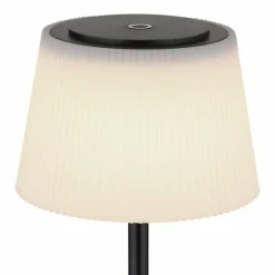 Lampe à poser Globo GREGOIR LED Noir, 1 lumière