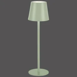Lampe à poser Leuchten-Direkt EURIA LED Vert, 1 lumière