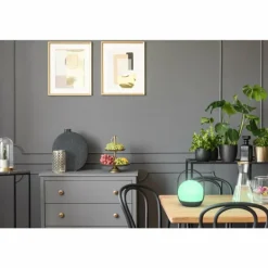 Lampe à poser Lutec Cardi LED Noir, Blanc, 1 lumière, Changeur de couleurs