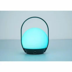 Lampe à poser Lutec Cardi LED Noir, Blanc, 1 lumière, Changeur de couleurs