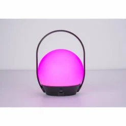 Lampe à poser Lutec Cardi LED Noir, Blanc, 1 lumière, Changeur de couleurs