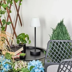 Lampe à poser Maza LED Noir, 1 lumière