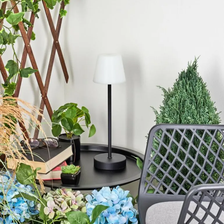 Lampe à poser Maza LED Noir, 1 lumière