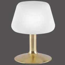 Lampe à poser Paul Neuhaus TILL LED Laiton, 1 lumière