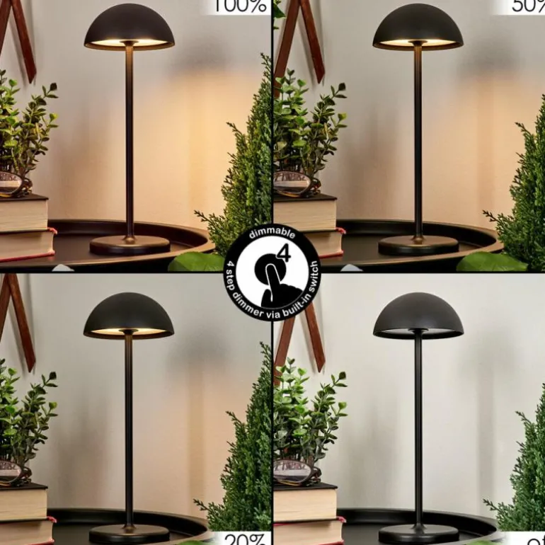 Lampe à poser Pelaro LED Noir, 1 lumière