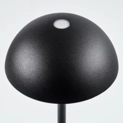 Lampe à poser Pelaro LED Noir, 1 lumière