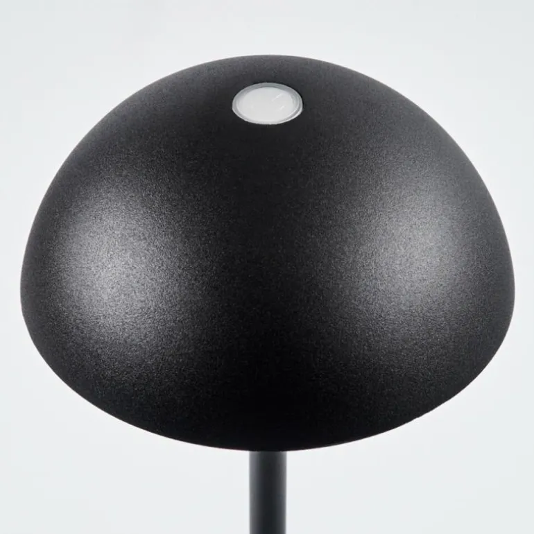 Lampe à poser Pelaro LED Noir, 1 lumière