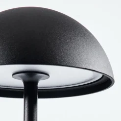 Lampe à poser Pelaro LED Noir, 1 lumière