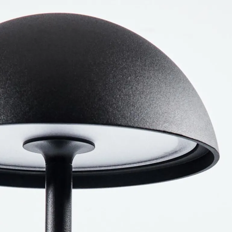 Lampe à poser Pelaro LED Noir, 1 lumière